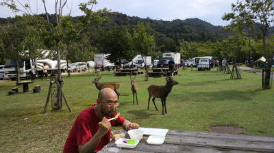 ガンジーと鹿20110917.jpg